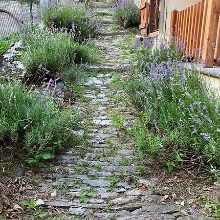 Apartmán Serenella Maison X